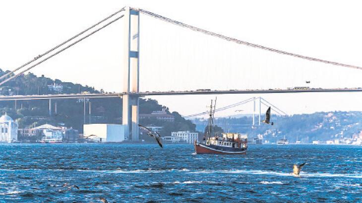 CİMER'e balık başvurusu! 6 Kasım’da bir günlüğüne tamamen kaldırılıyor